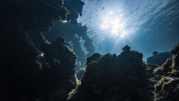 Benefits of Marine Collagen Supplements